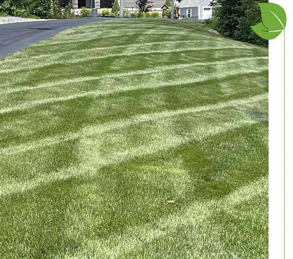 Lawn Mowing Services