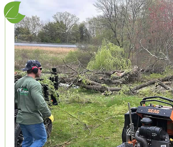 McQueen City Land Clearing Services