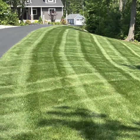 Service - Residential Spring and Fall Cleanup
