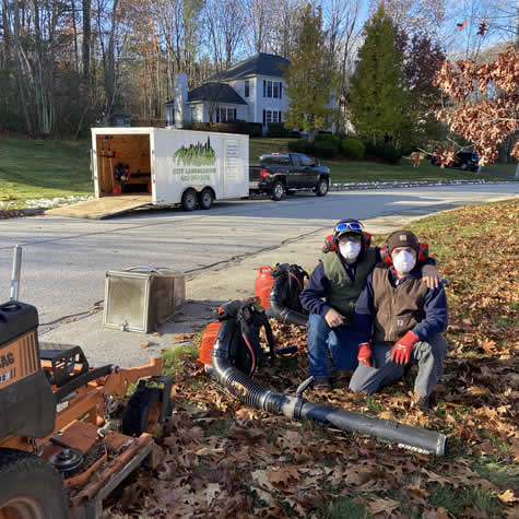 Service - Residential Spring and Fall Cleanup